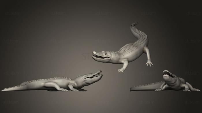 3D модель Аллигатор (STL)